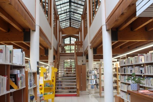 Escalier Hall mediatheque avec girafe
