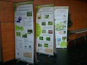 2019 07 expojardinagenaturel